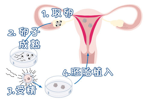 陈教授